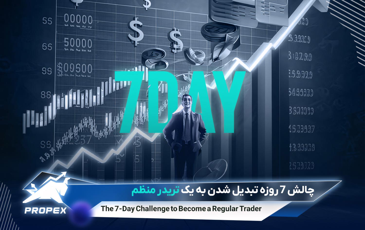 چالش ۷ روزه تبدیل شدن به یک تریدر منظم